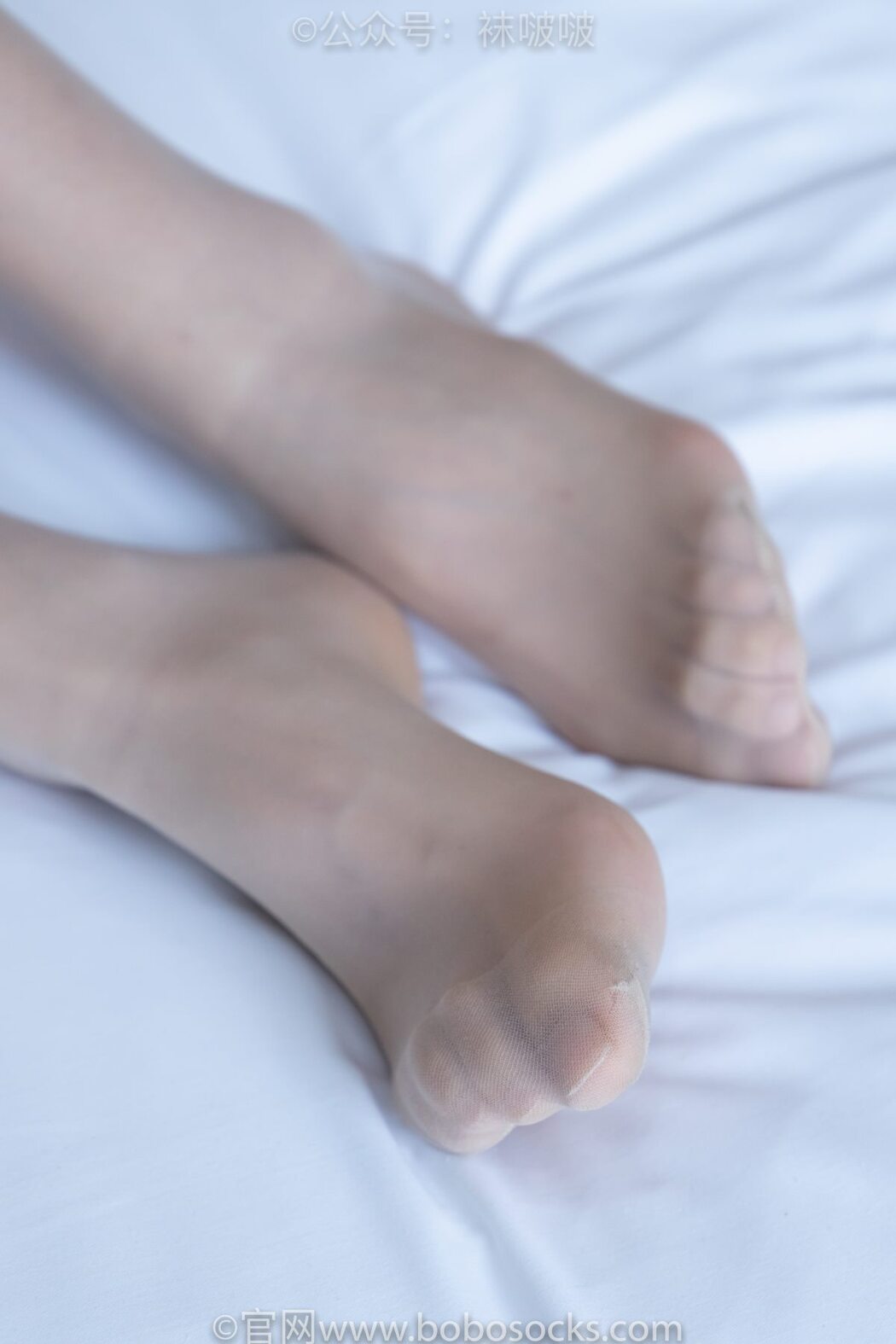 BoBoSocks袜啵啵 NO.008 Han Han