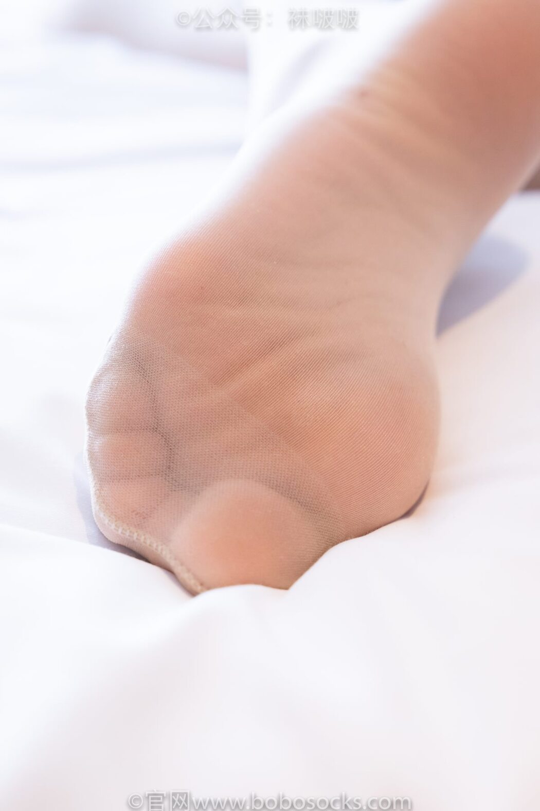 BoBoSocks袜啵啵 NO.008 Han Han