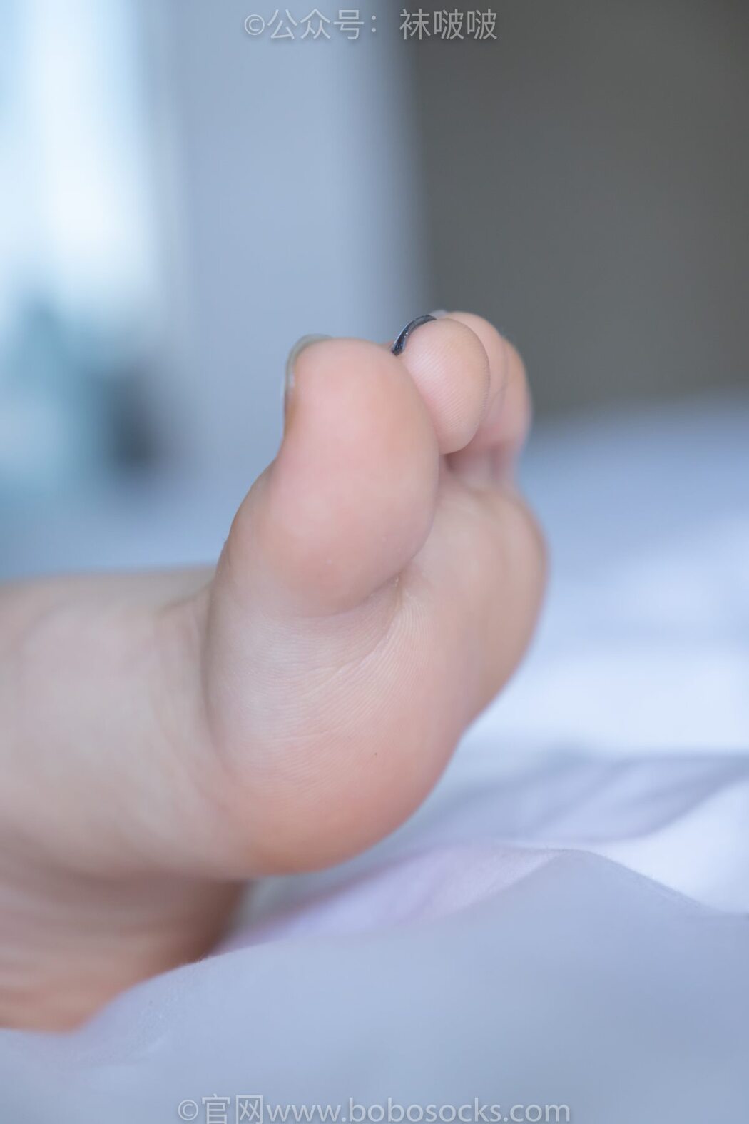 BoBoSocks袜啵啵 NO.009 Guo Dong