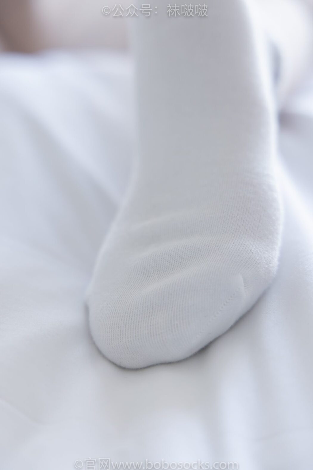 BoBoSocks袜啵啵 NO.031 Xiao Nai Xiong