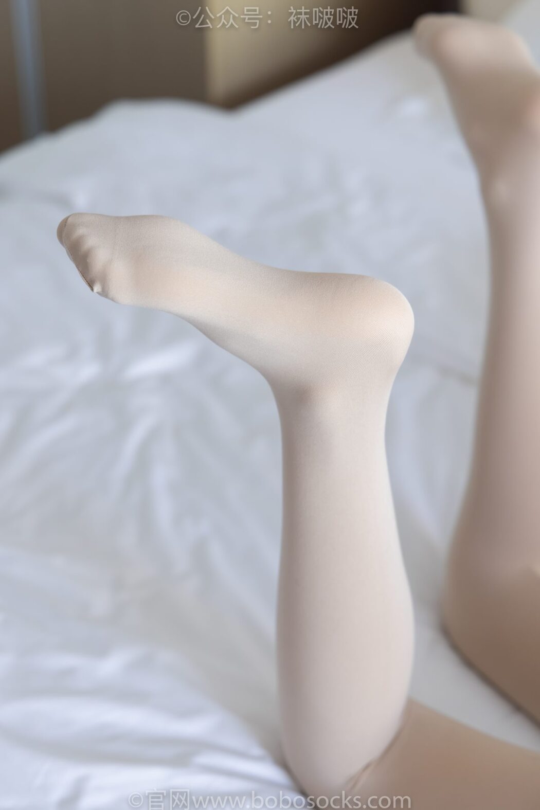 BoBoSocks袜啵啵 NO.031 Xiao Nai Xiong