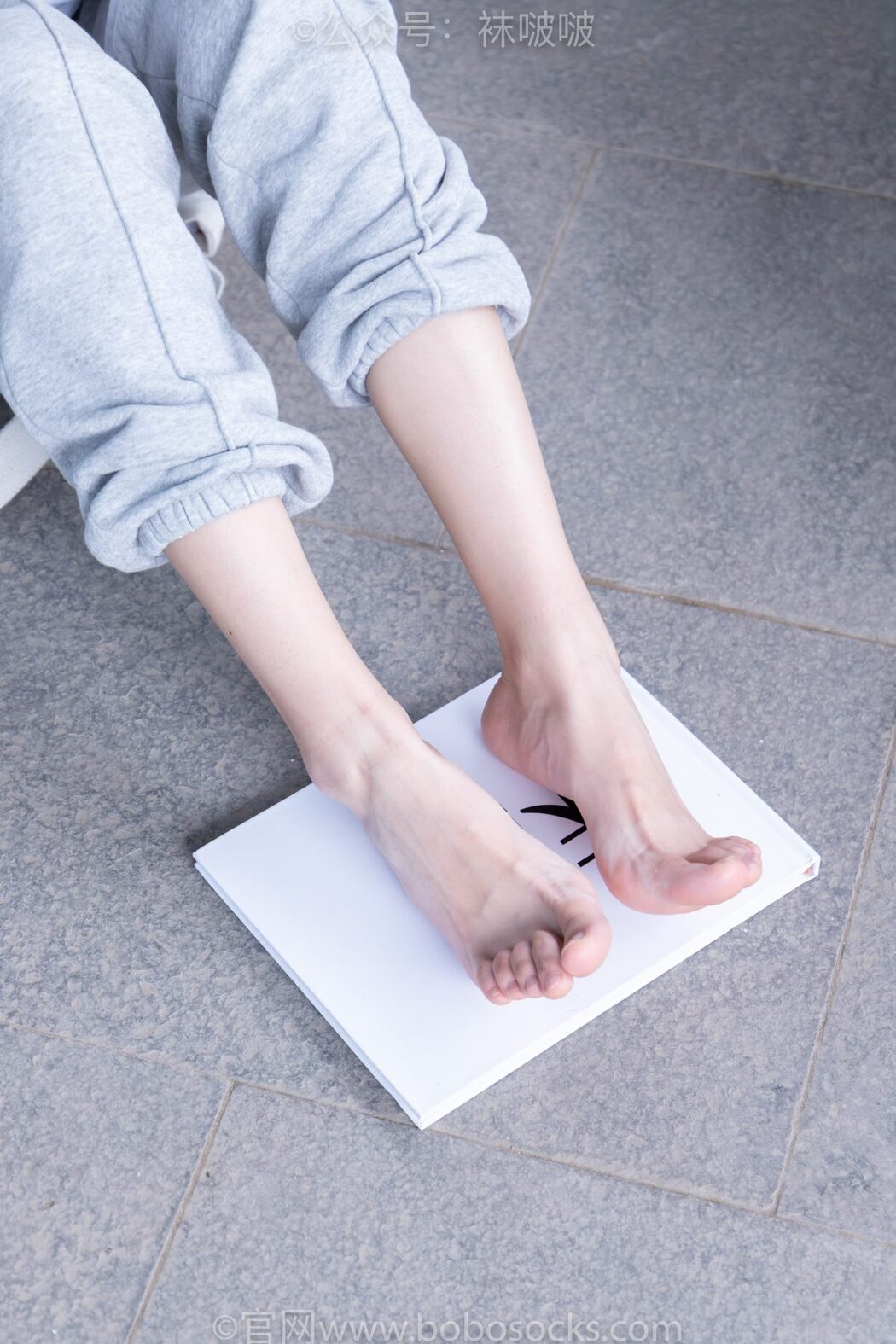 BoBoSocks袜啵啵 NO.012 Pao Fu