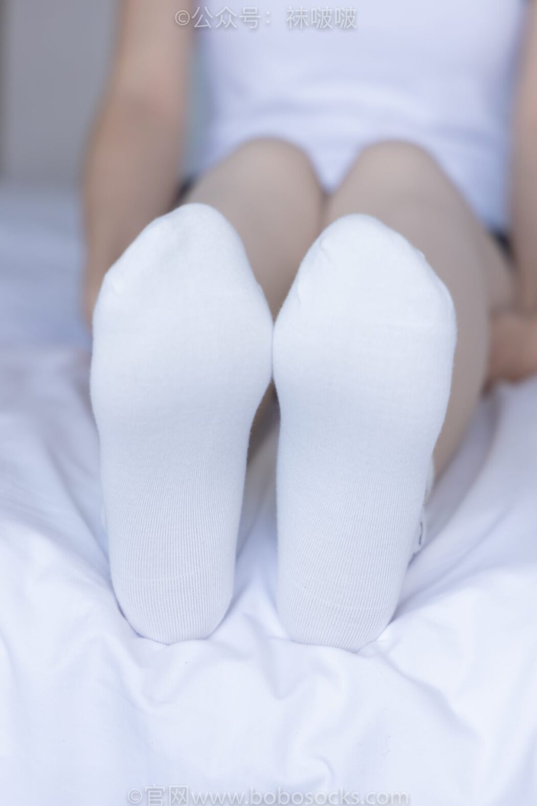 BoBoSocks袜啵啵 NO.031 Xiao Nai Xiong