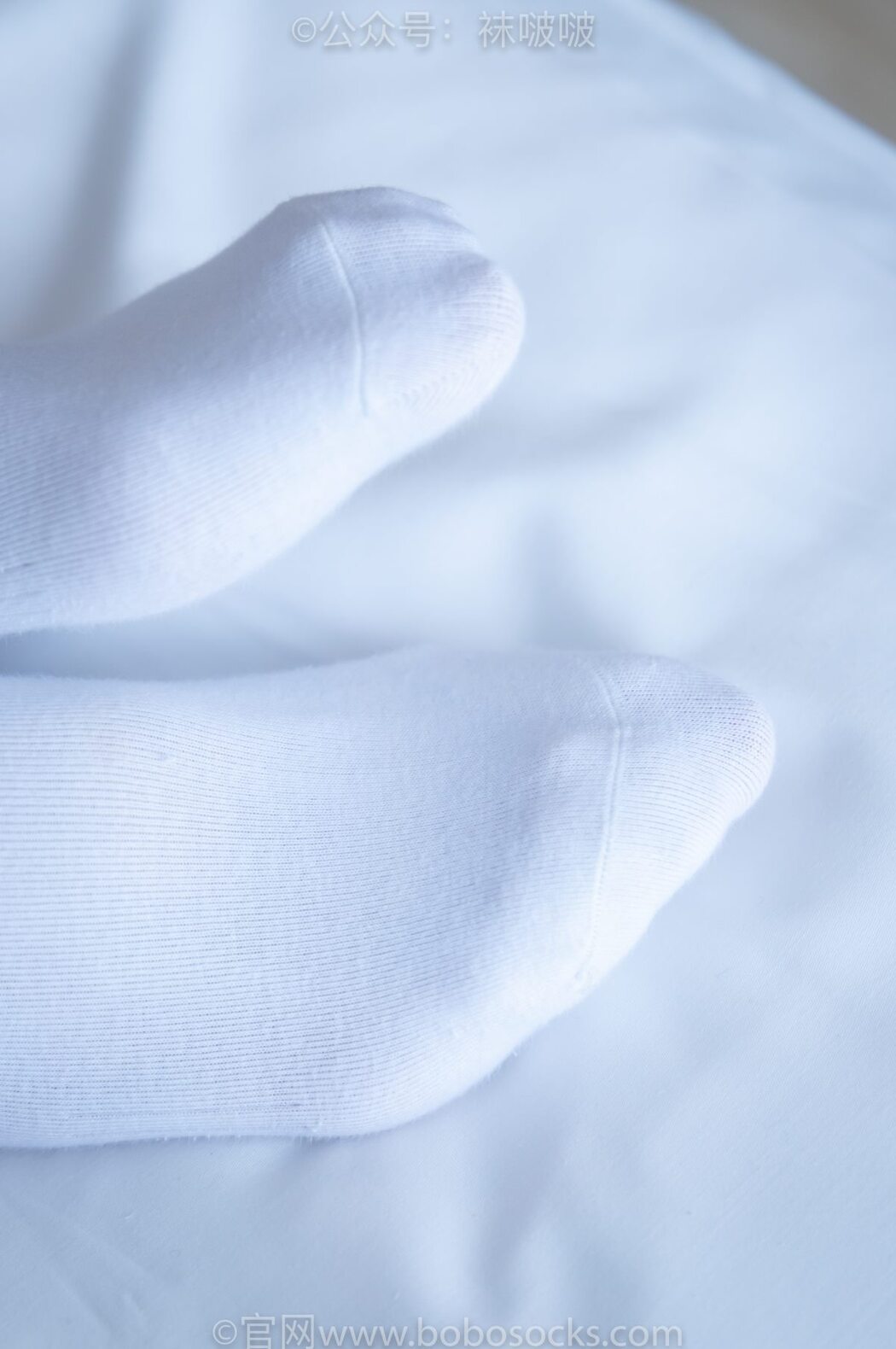 BoBoSocks袜啵啵 NO.024 Han Han