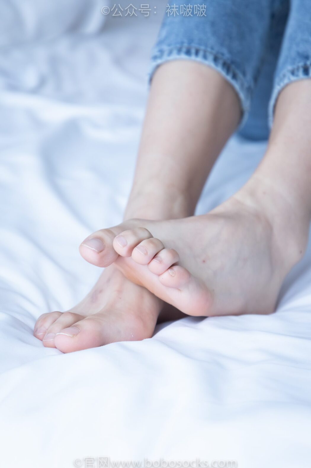 BoBoSocks袜啵啵 NO.024 Han Han