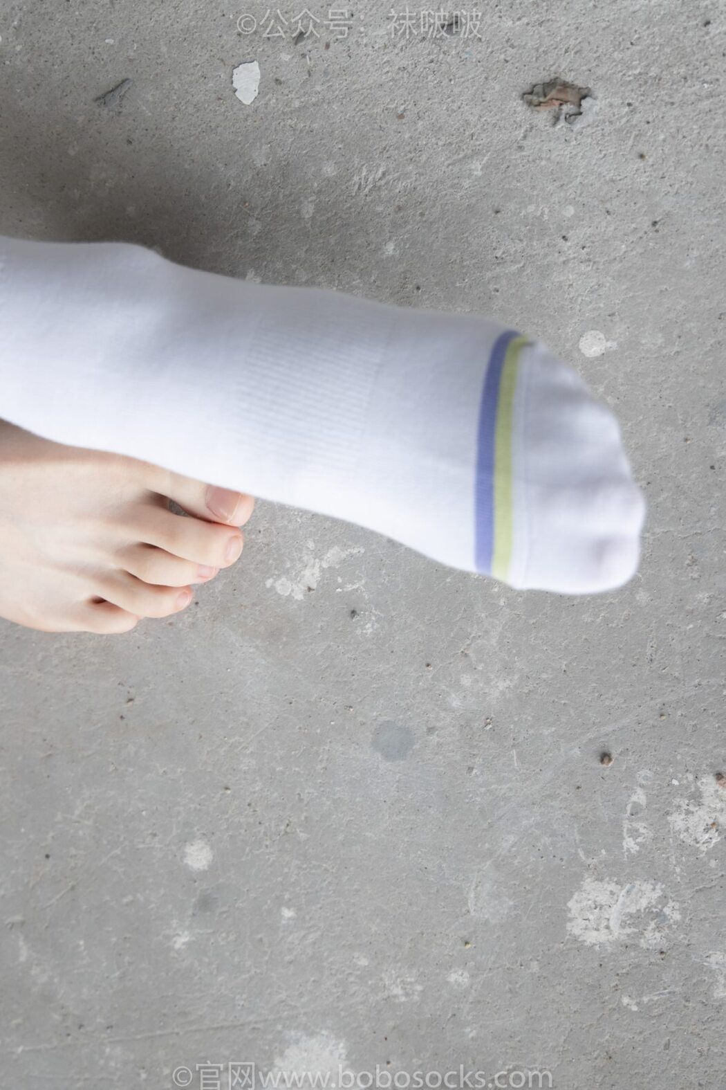 BoBoSocks袜啵啵 NO.025 Xiong Xiong