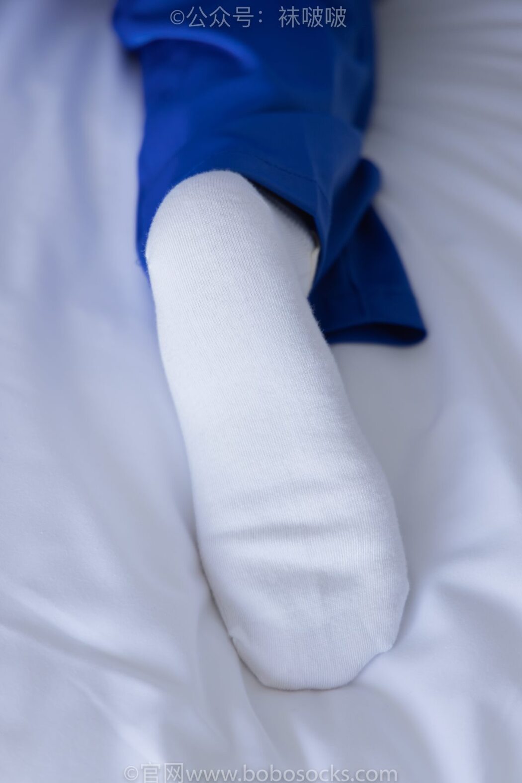 BoBoSocks袜啵啵 NO.039 Xiao Nai Xiong