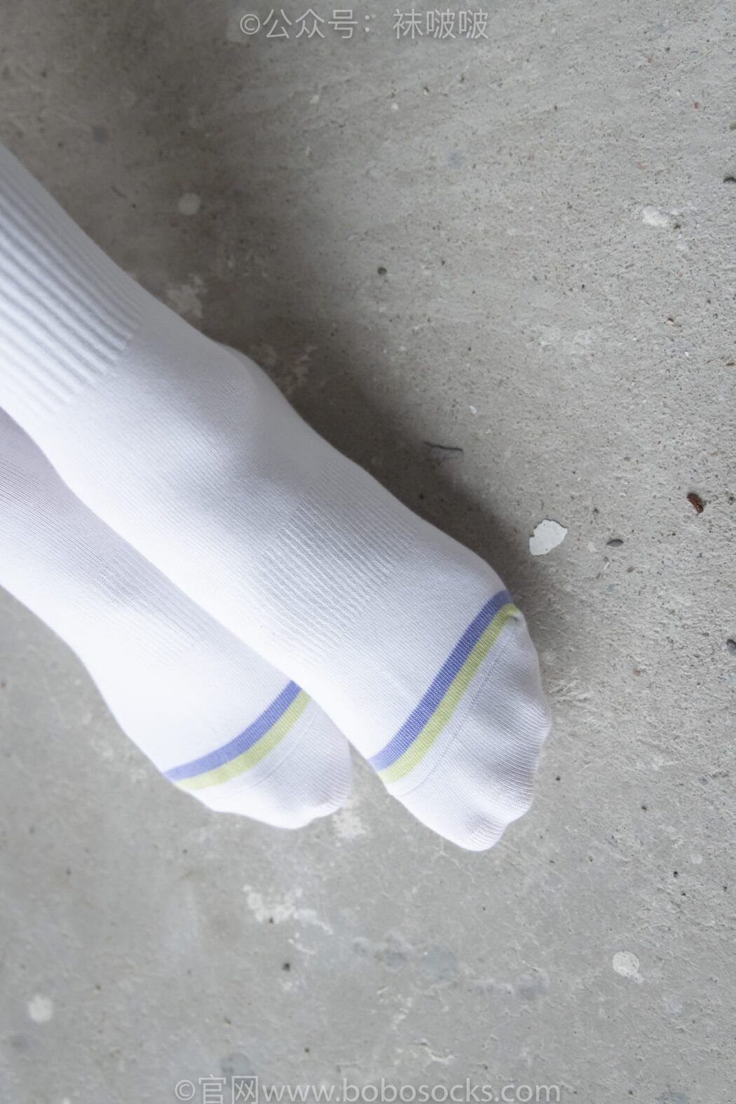 BoBoSocks袜啵啵 NO.025 Xiong Xiong