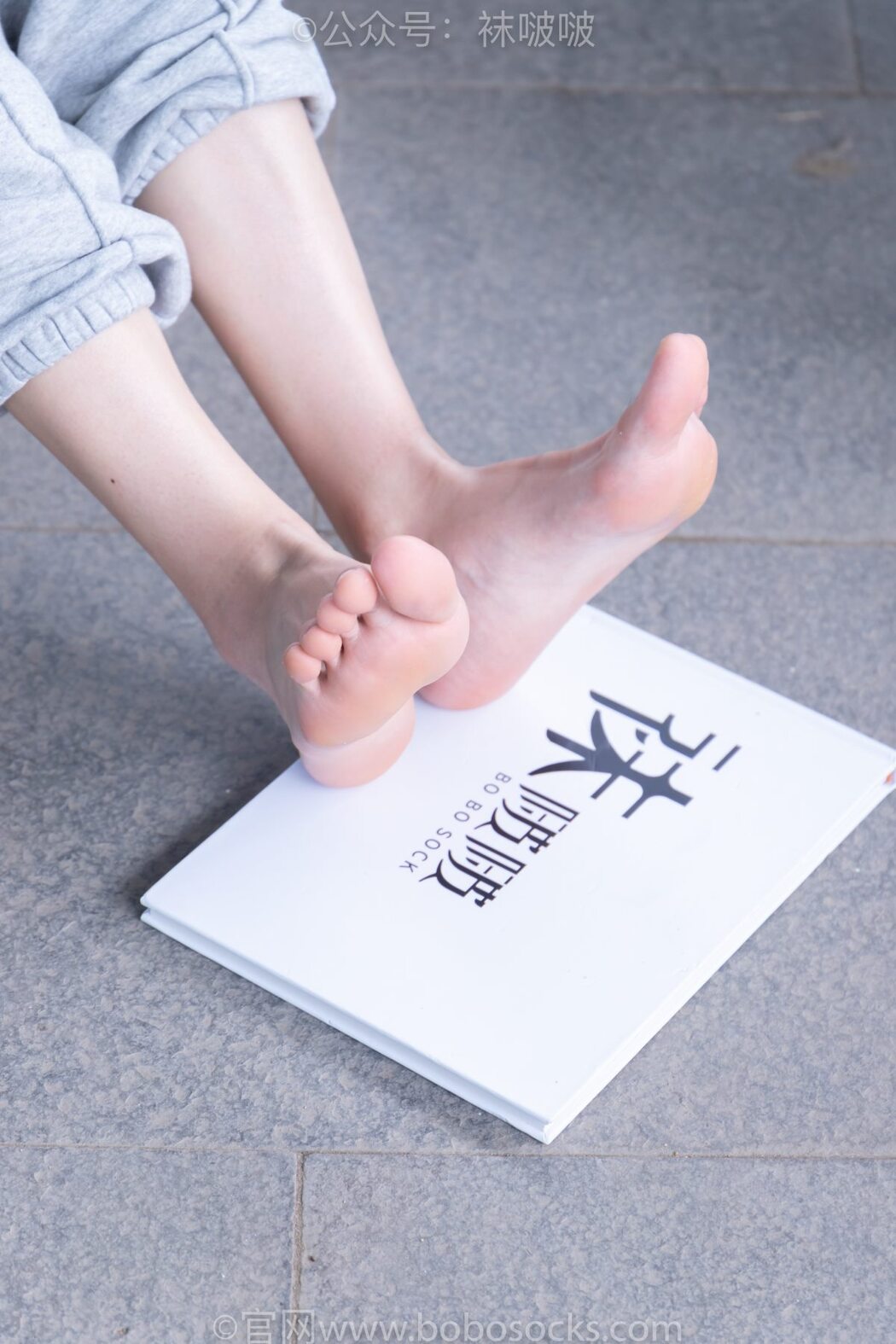 BoBoSocks袜啵啵 NO.012 Pao Fu