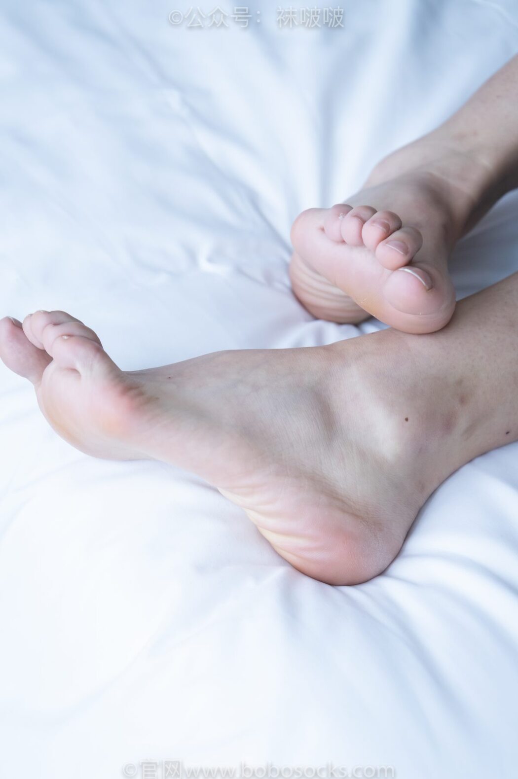 BoBoSocks袜啵啵 NO.024 Han Han