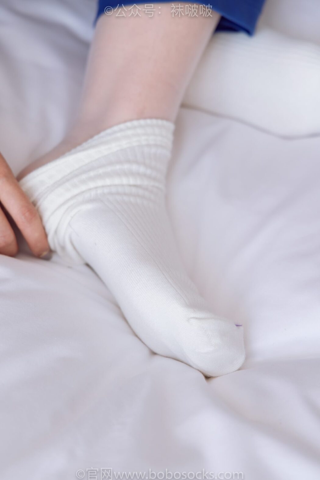 BoBoSocks袜啵啵 NO.042 Sa To