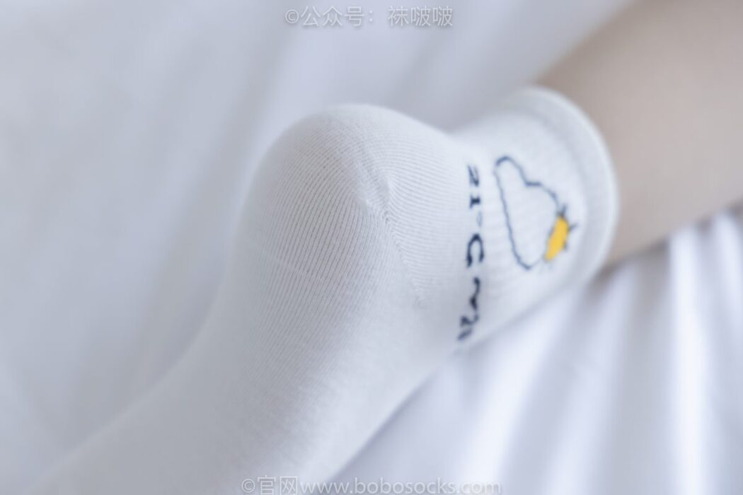 BoBoSocks袜啵啵 NO.031 Xiao Nai Xiong