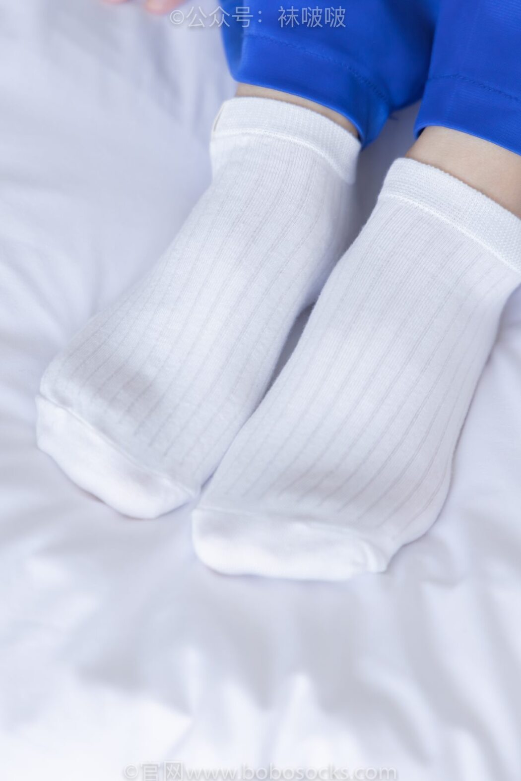 BoBoSocks袜啵啵 NO.039 Xiao Nai Xiong