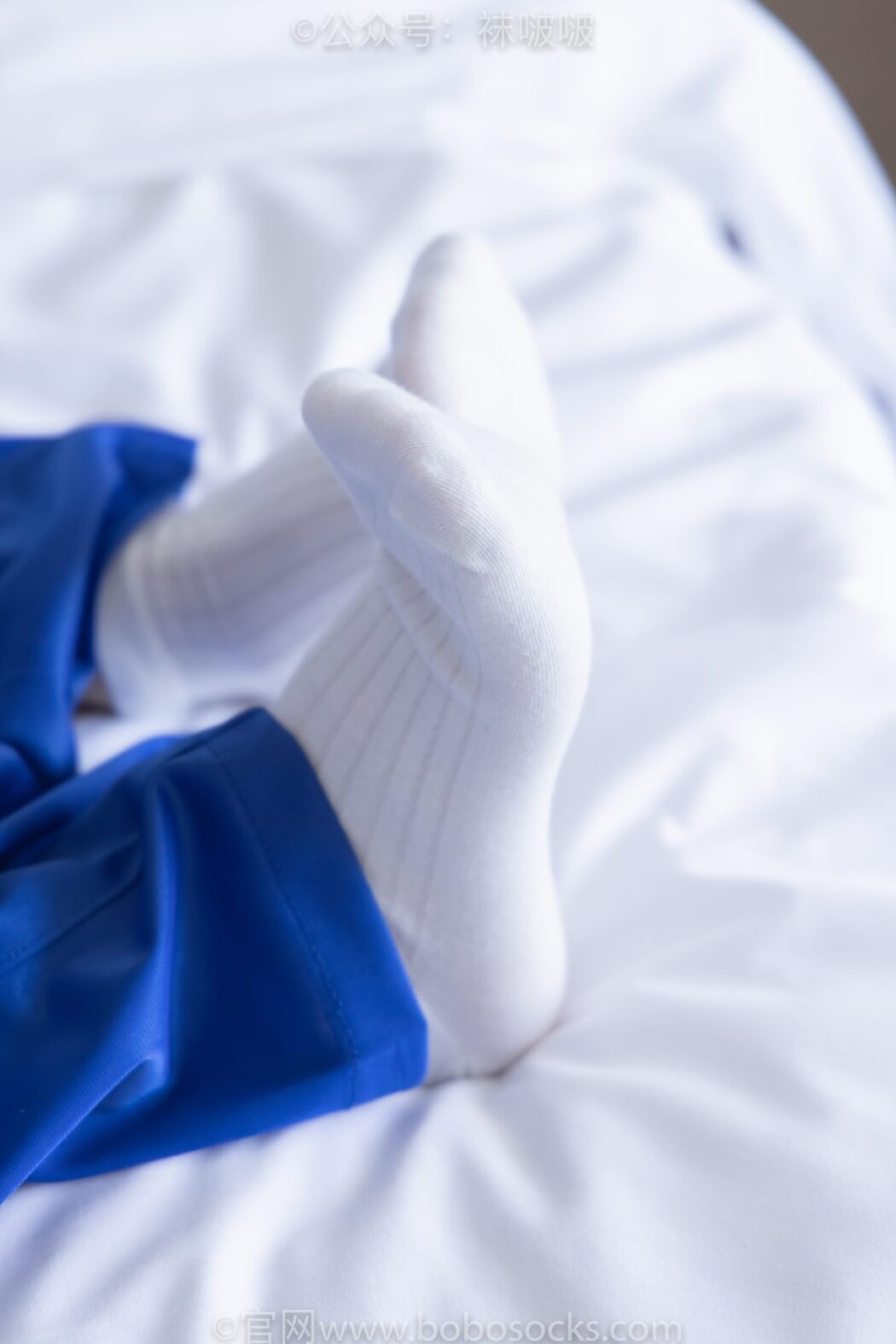 BoBoSocks袜啵啵 NO.039 Xiao Nai Xiong