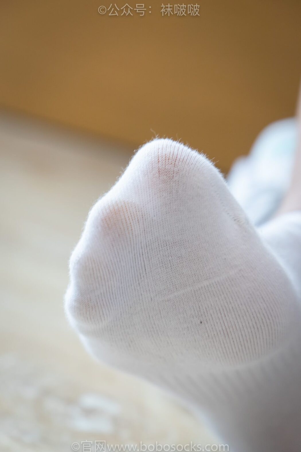 BoBoSocks袜啵啵 NO.024 Han Han