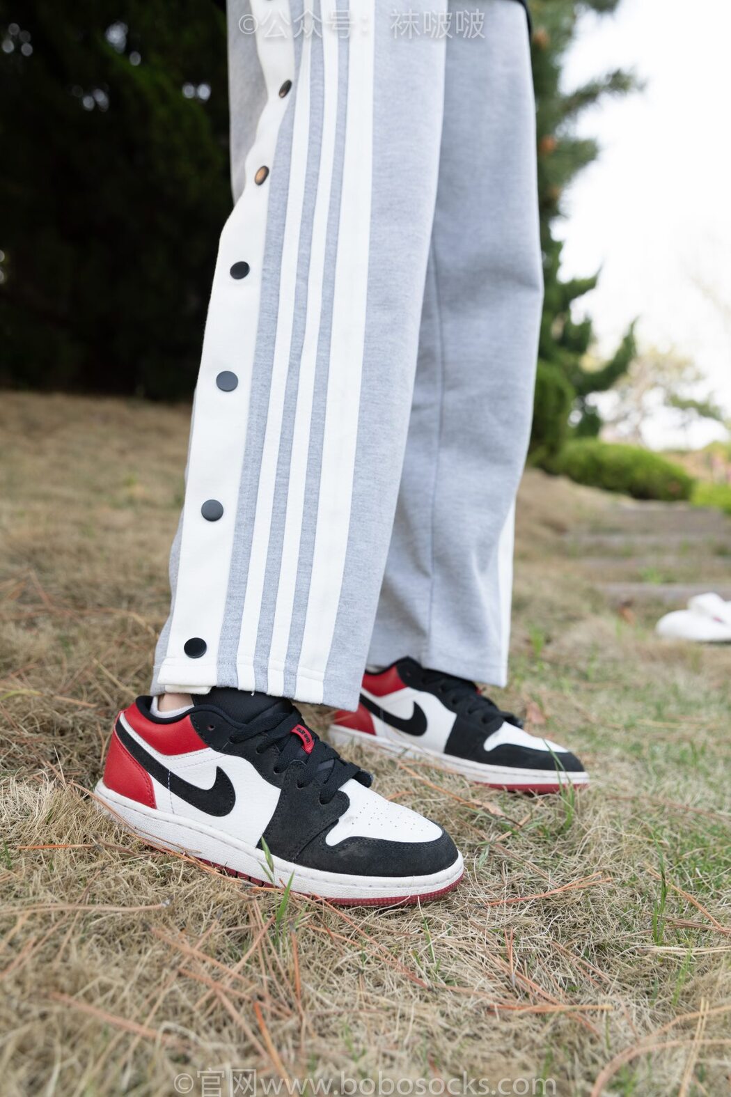 BoBoSocks袜啵啵 NO.023 Zhi Yu