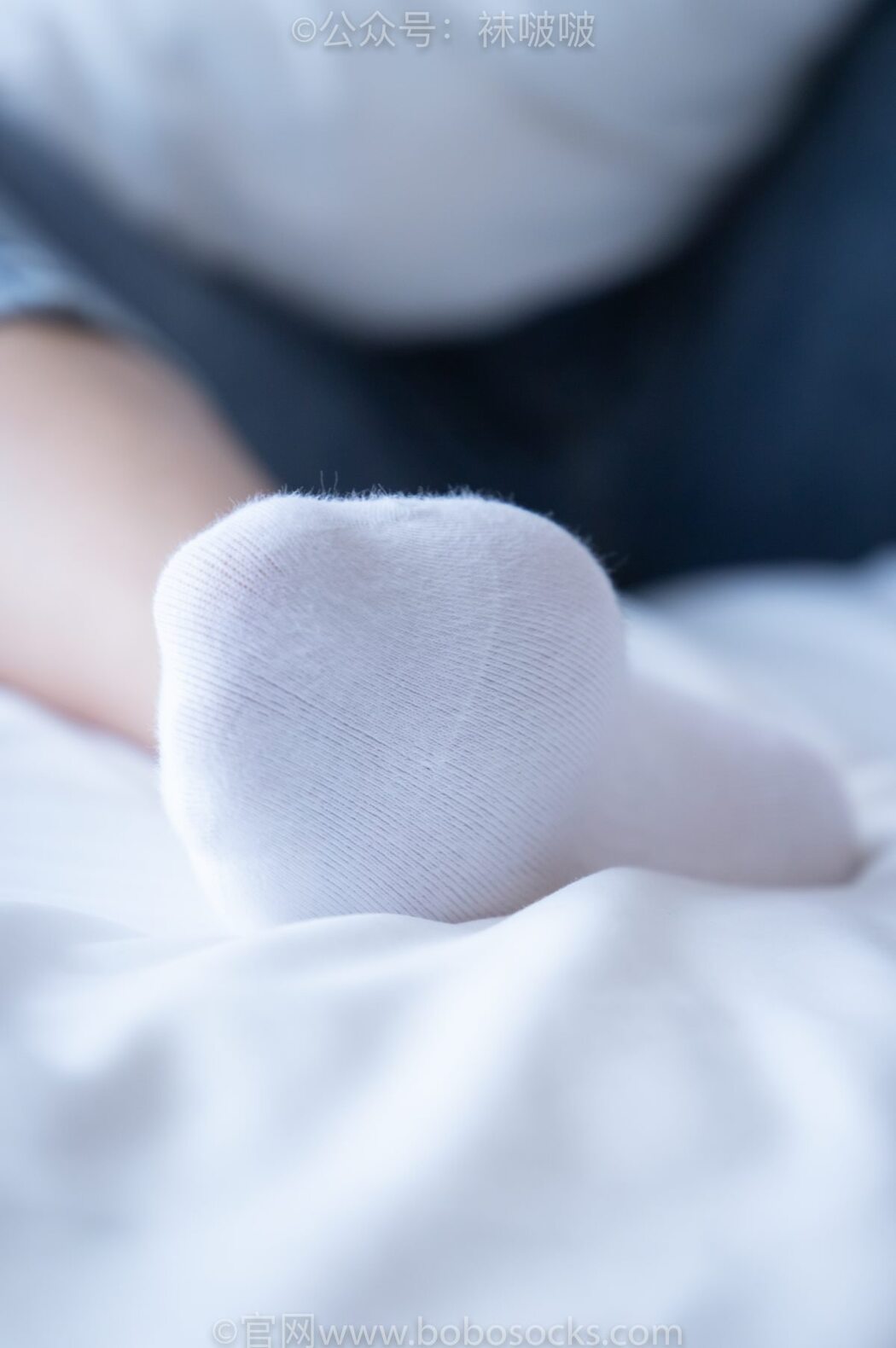 BoBoSocks袜啵啵 NO.024 Han Han