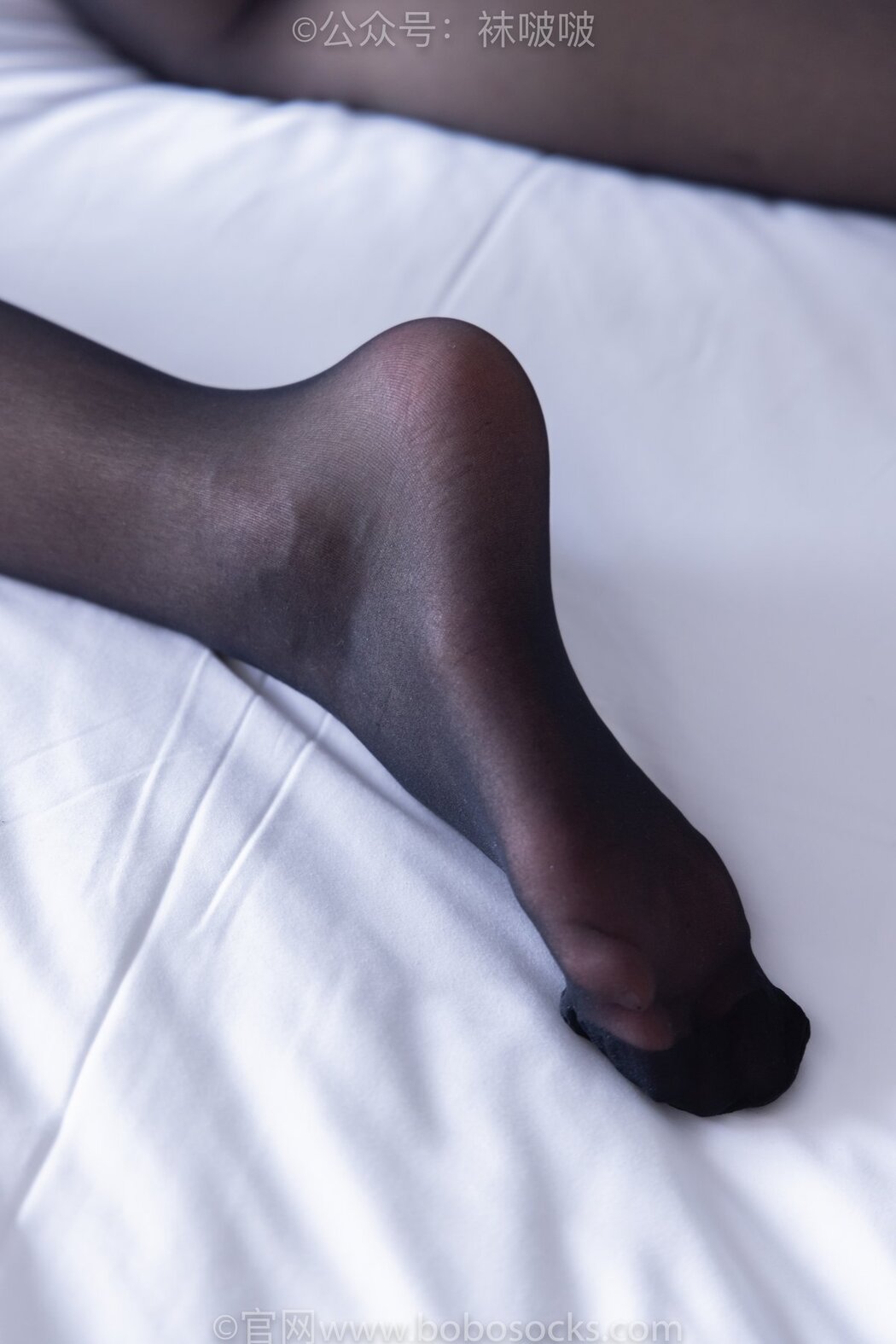 BoBoSocks袜啵啵 NO.046 Feng Feng B