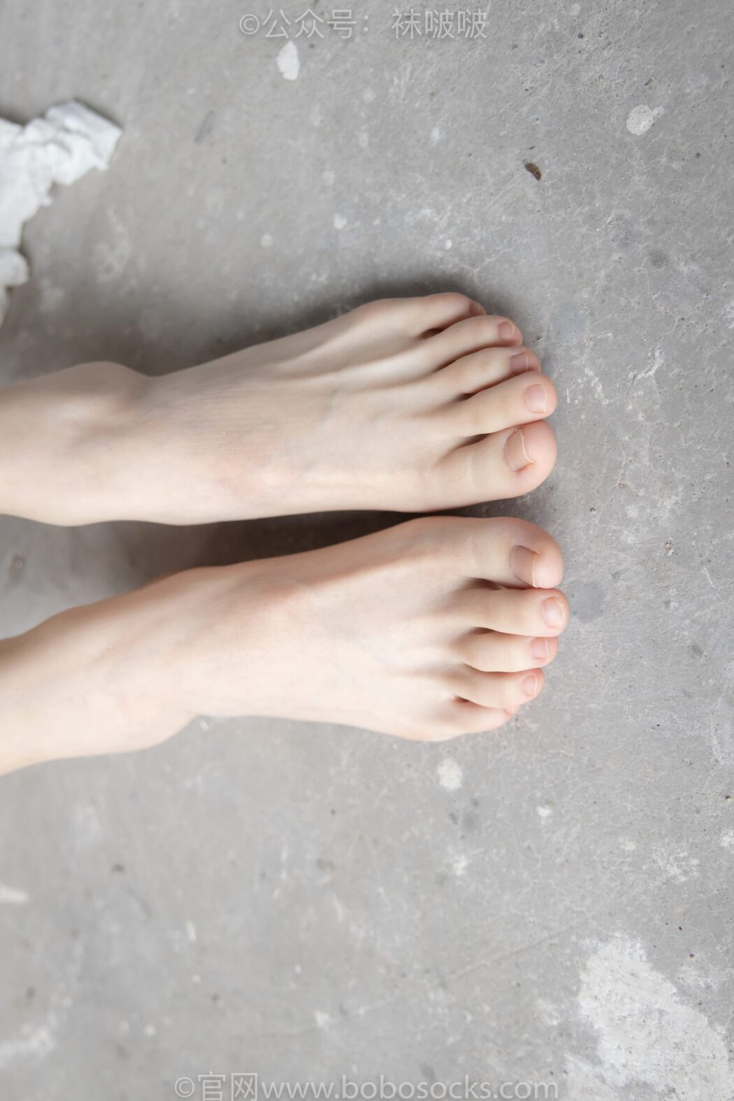 BoBoSocks袜啵啵 NO.025 Xiong Xiong