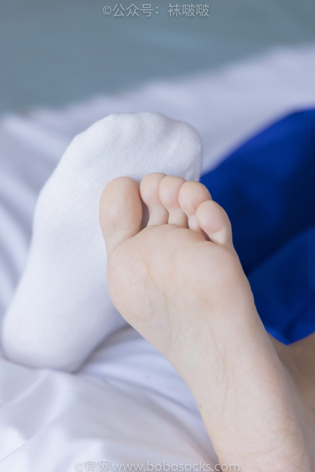 BoBoSocks袜啵啵 NO.039 Xiao Nai Xiong