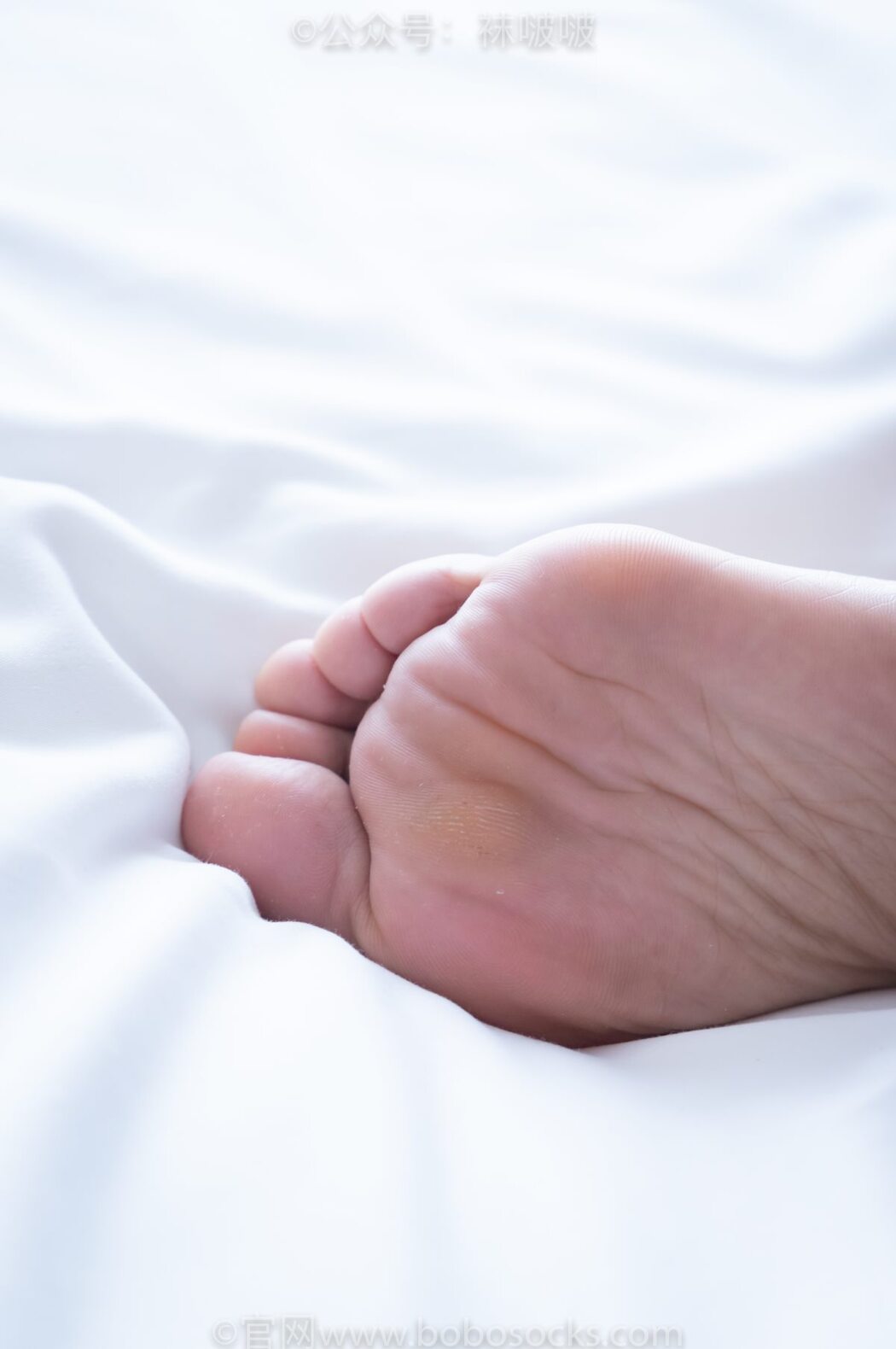 BoBoSocks袜啵啵 NO.024 Han Han