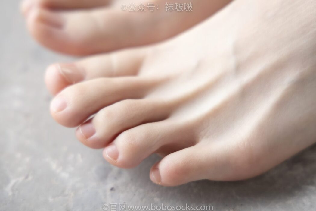 BoBoSocks袜啵啵 NO.025 Xiong Xiong