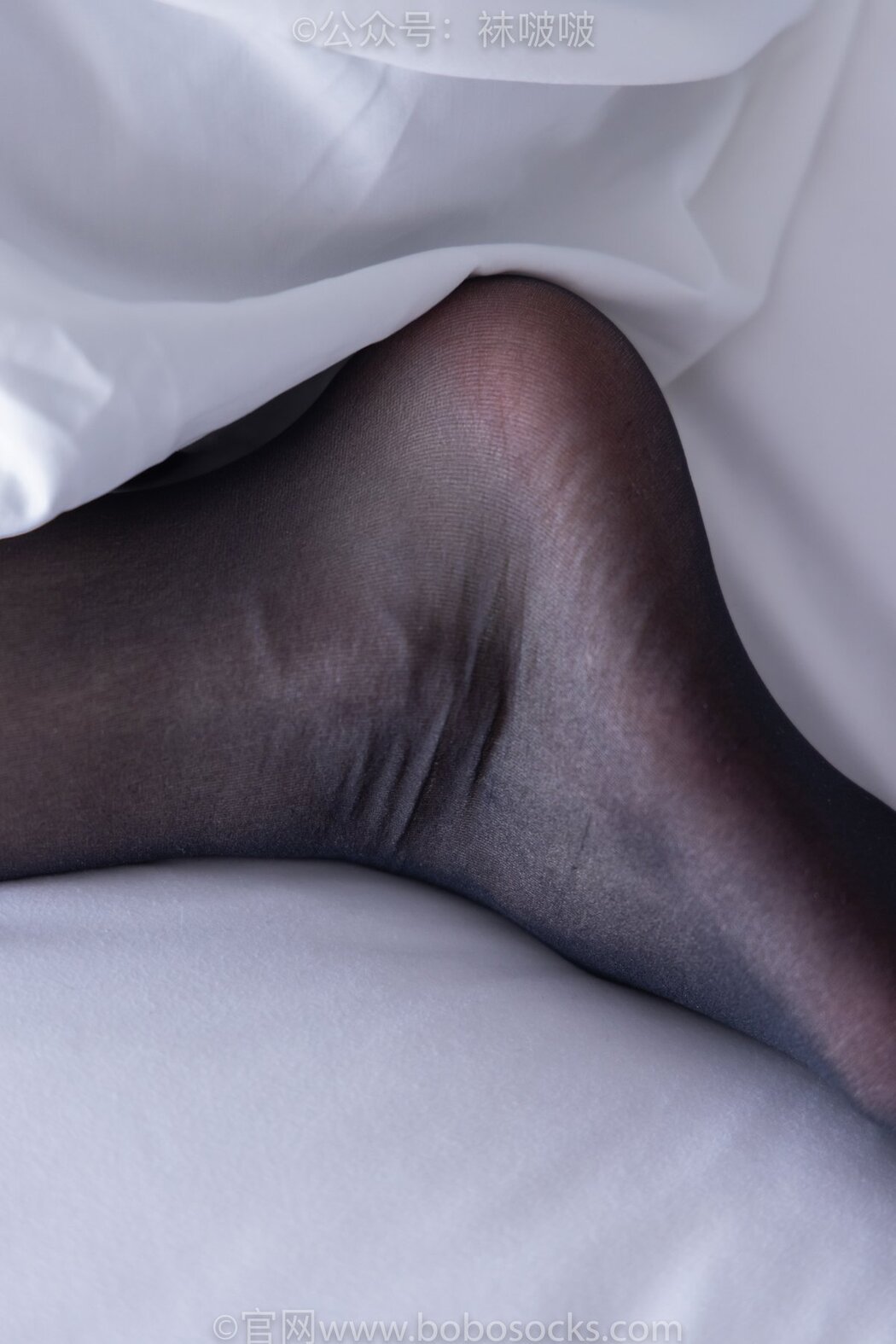 BoBoSocks袜啵啵 NO.046 Feng Feng B