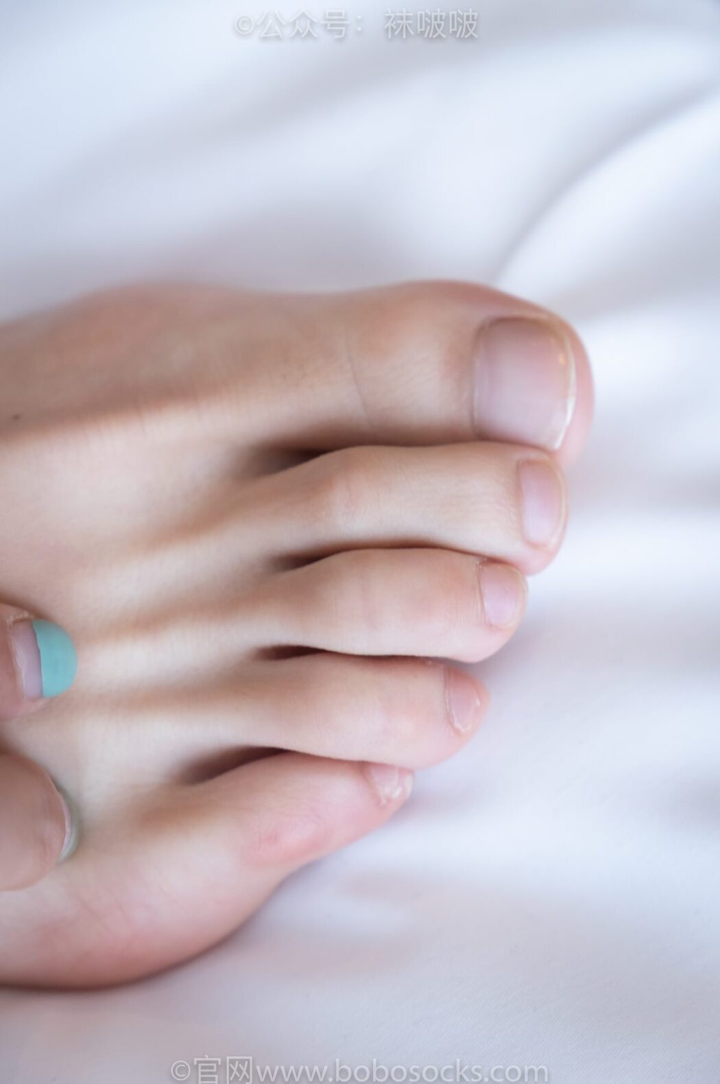 BoBoSocks袜啵啵 NO.024 Han Han
