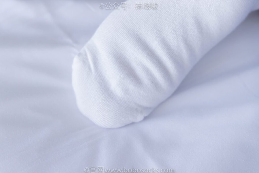 BoBoSocks袜啵啵 NO.039 Xiao Nai Xiong