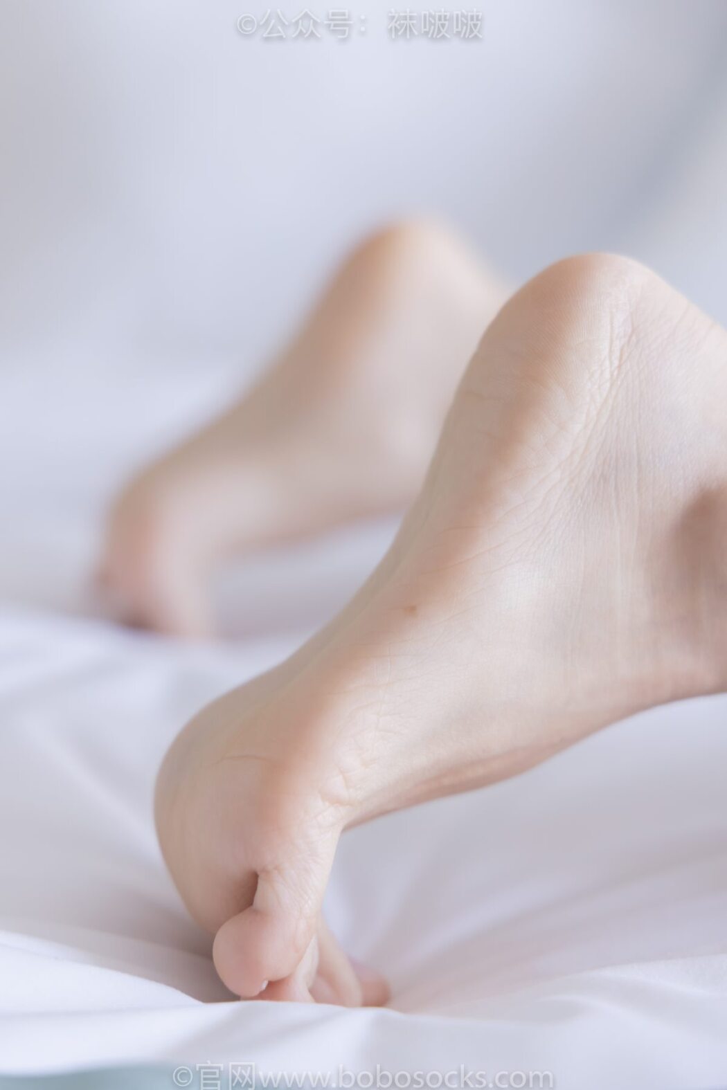 BoBoSocks袜啵啵 NO.039 Xiao Nai Xiong