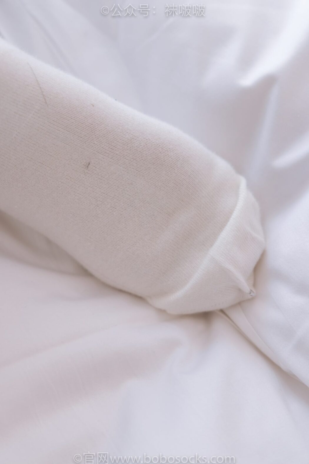 BoBoSocks袜啵啵 NO.042 Sa To