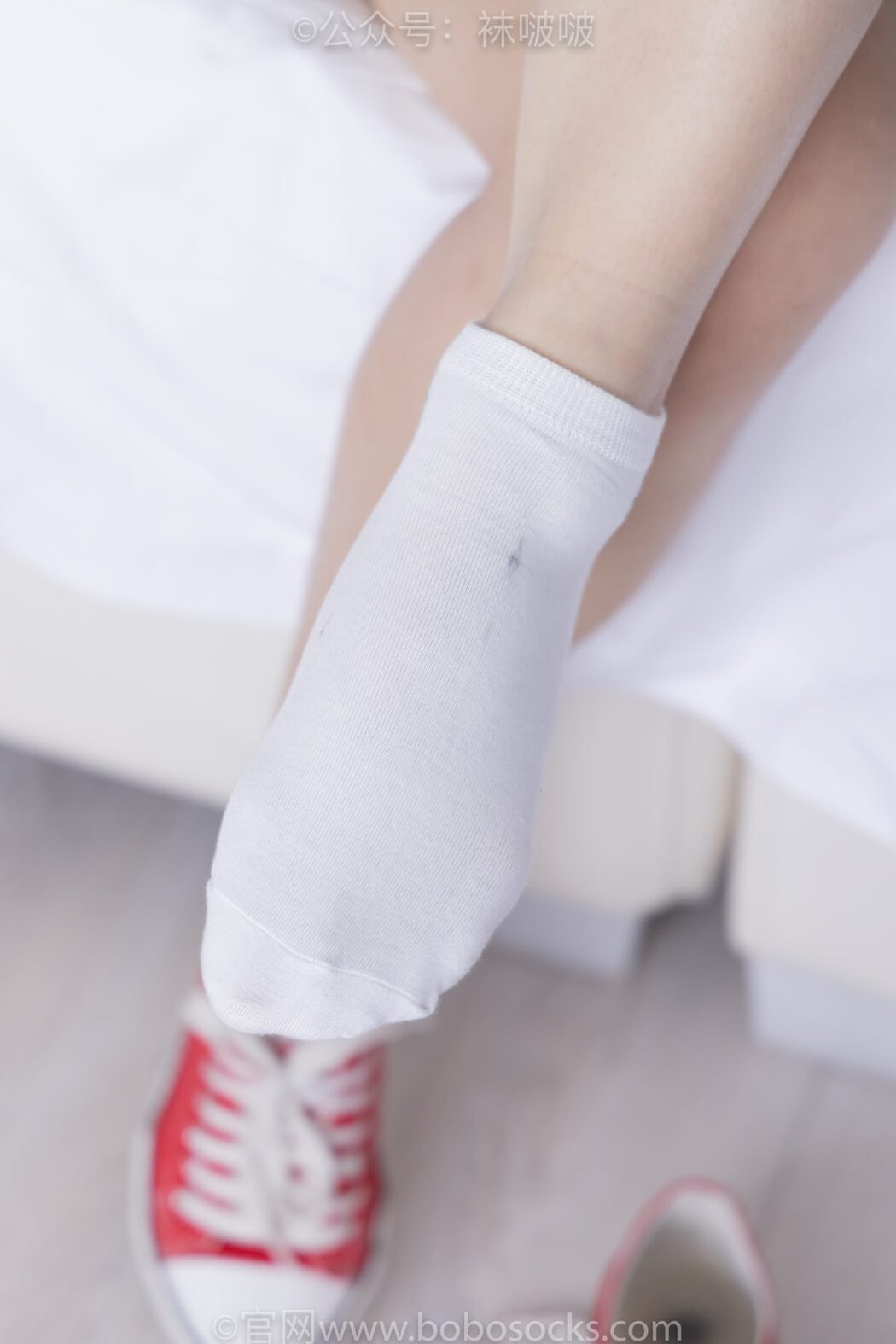 BoBoSocks袜啵啵 NO.036 Bo Luo