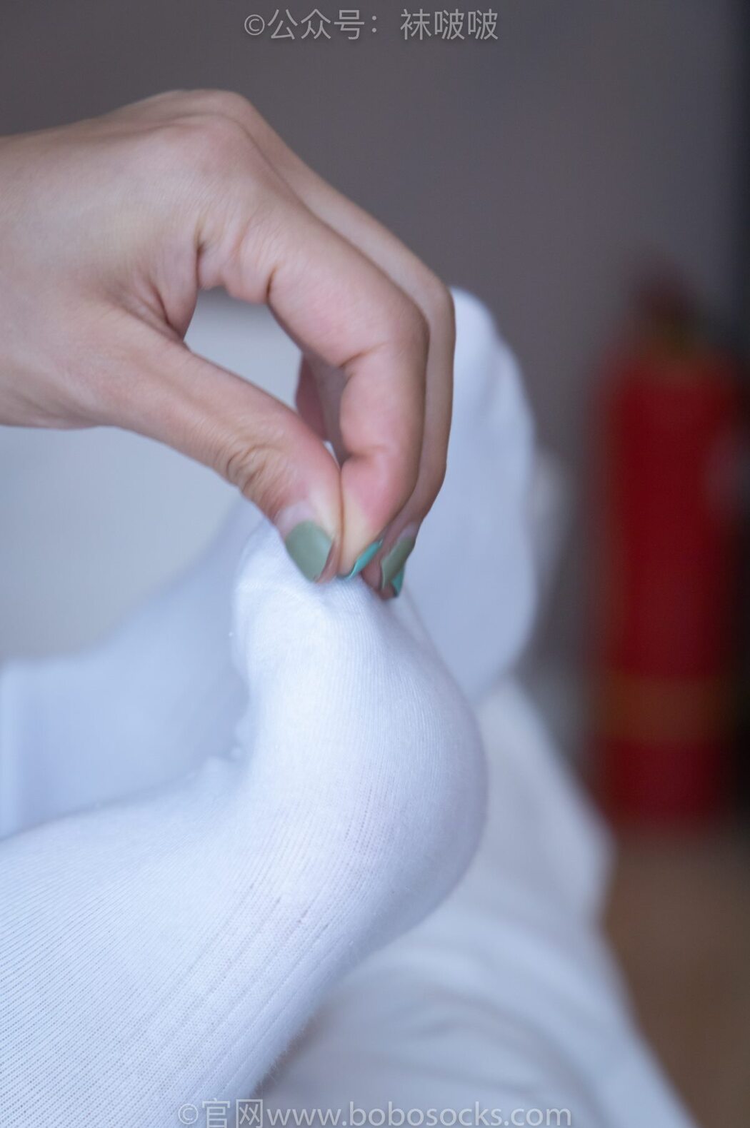 BoBoSocks袜啵啵 NO.024 Han Han
