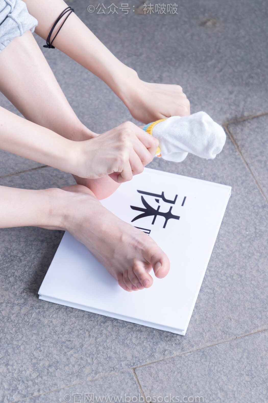 BoBoSocks袜啵啵 NO.012 Pao Fu