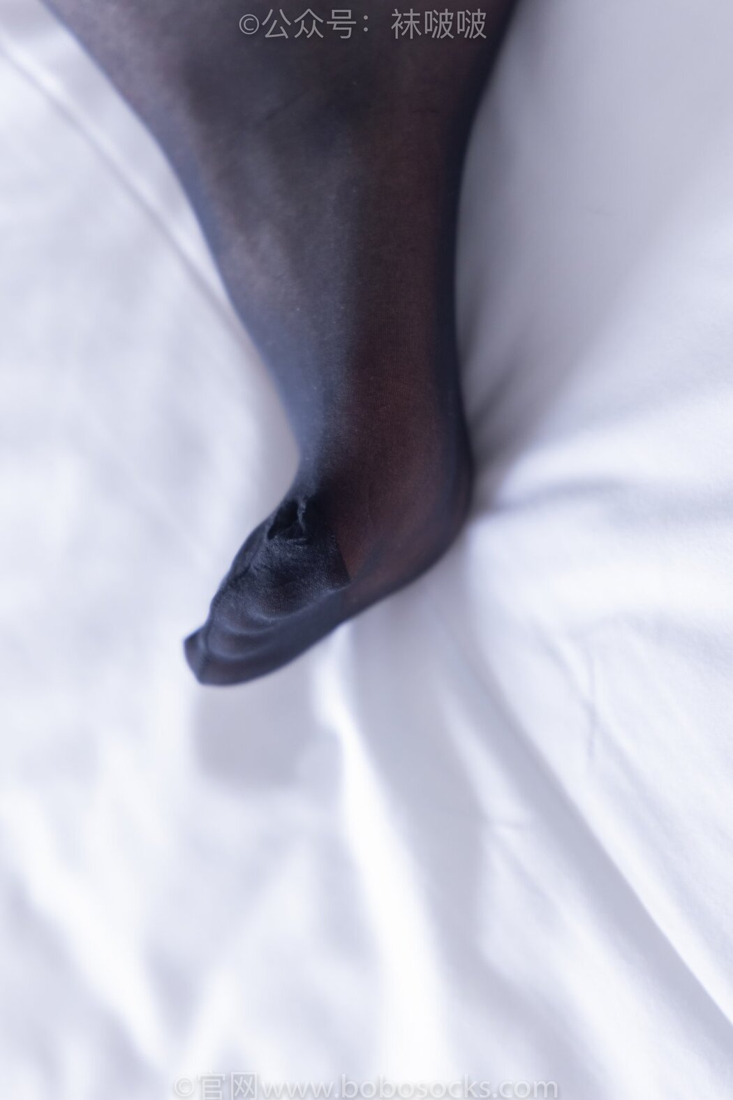 BoBoSocks袜啵啵 NO.046 Feng Feng B