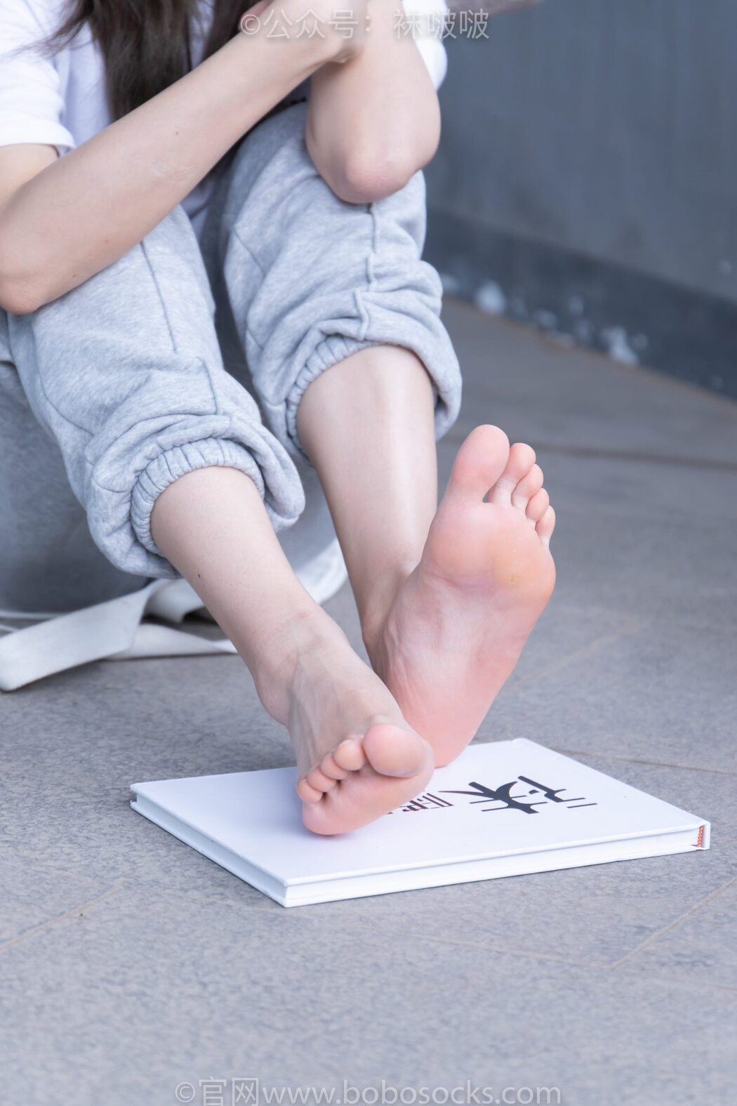 BoBoSocks袜啵啵 NO.012 Pao Fu