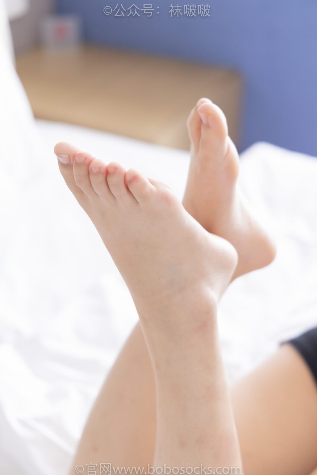 BoBoSocks袜啵啵 NO.036 Bo Luo