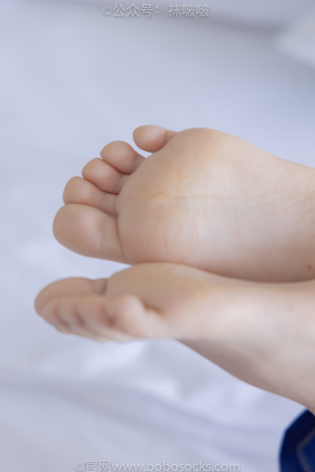 BoBoSocks袜啵啵 NO.039 Xiao Nai Xiong