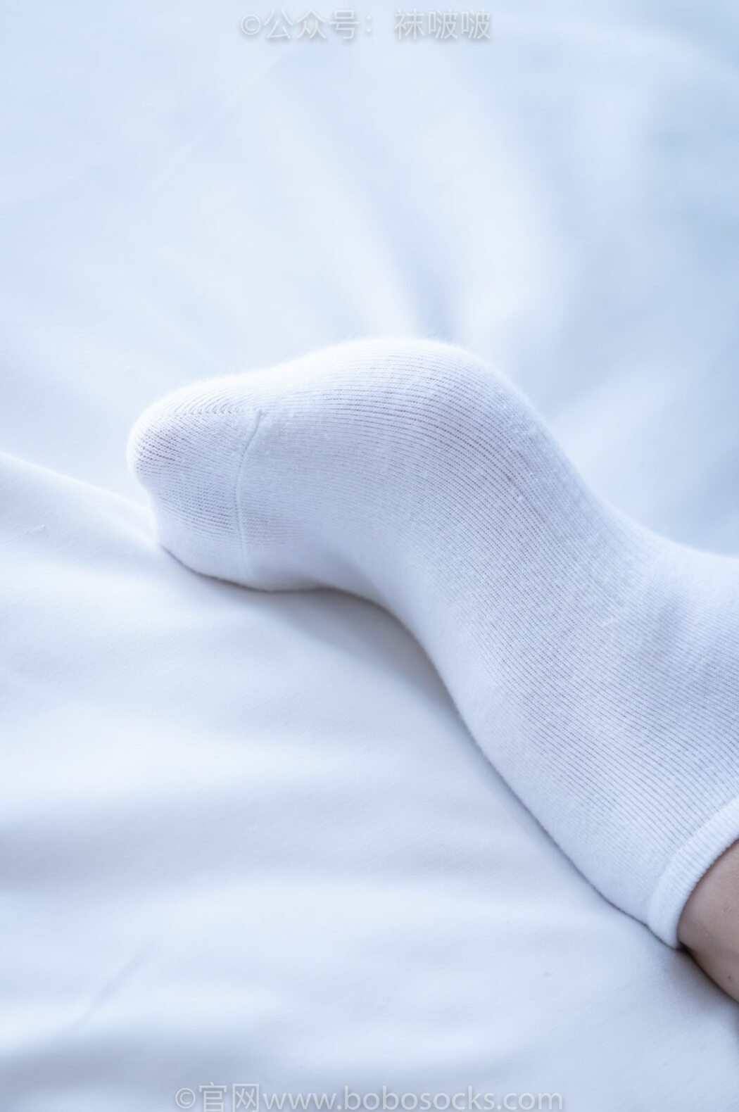 BoBoSocks袜啵啵 NO.024 Han Han