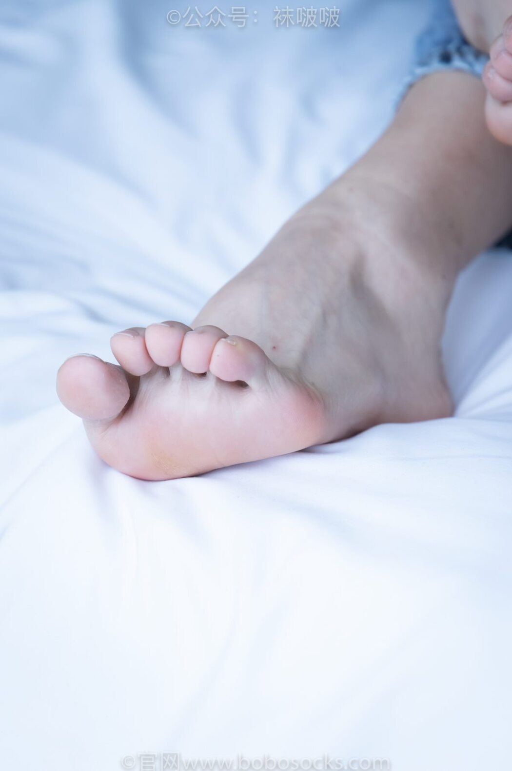 BoBoSocks袜啵啵 NO.024 Han Han