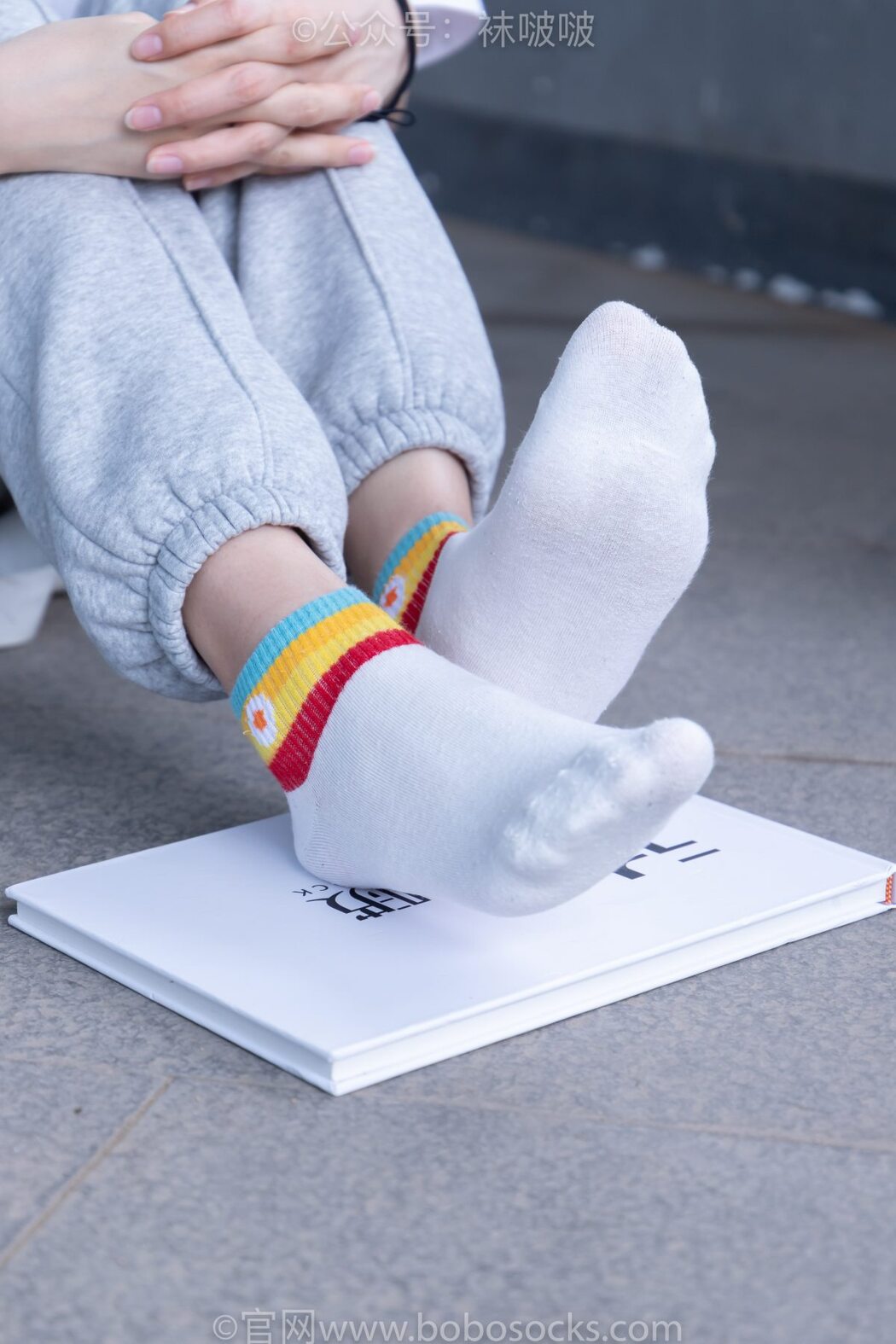 BoBoSocks袜啵啵 NO.012 Pao Fu