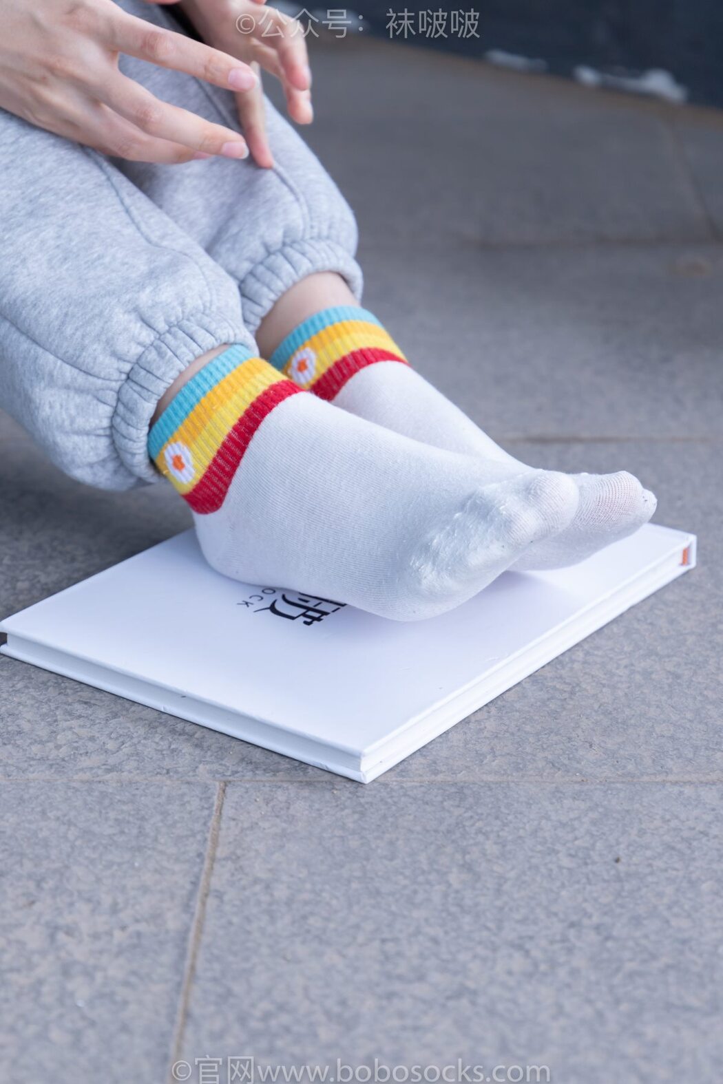 BoBoSocks袜啵啵 NO.012 Pao Fu