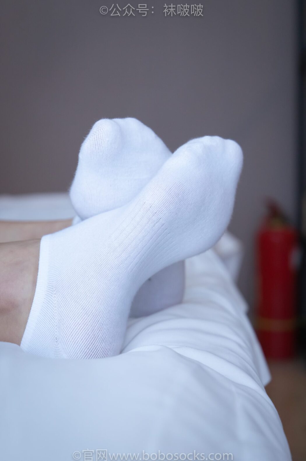 BoBoSocks袜啵啵 NO.024 Han Han