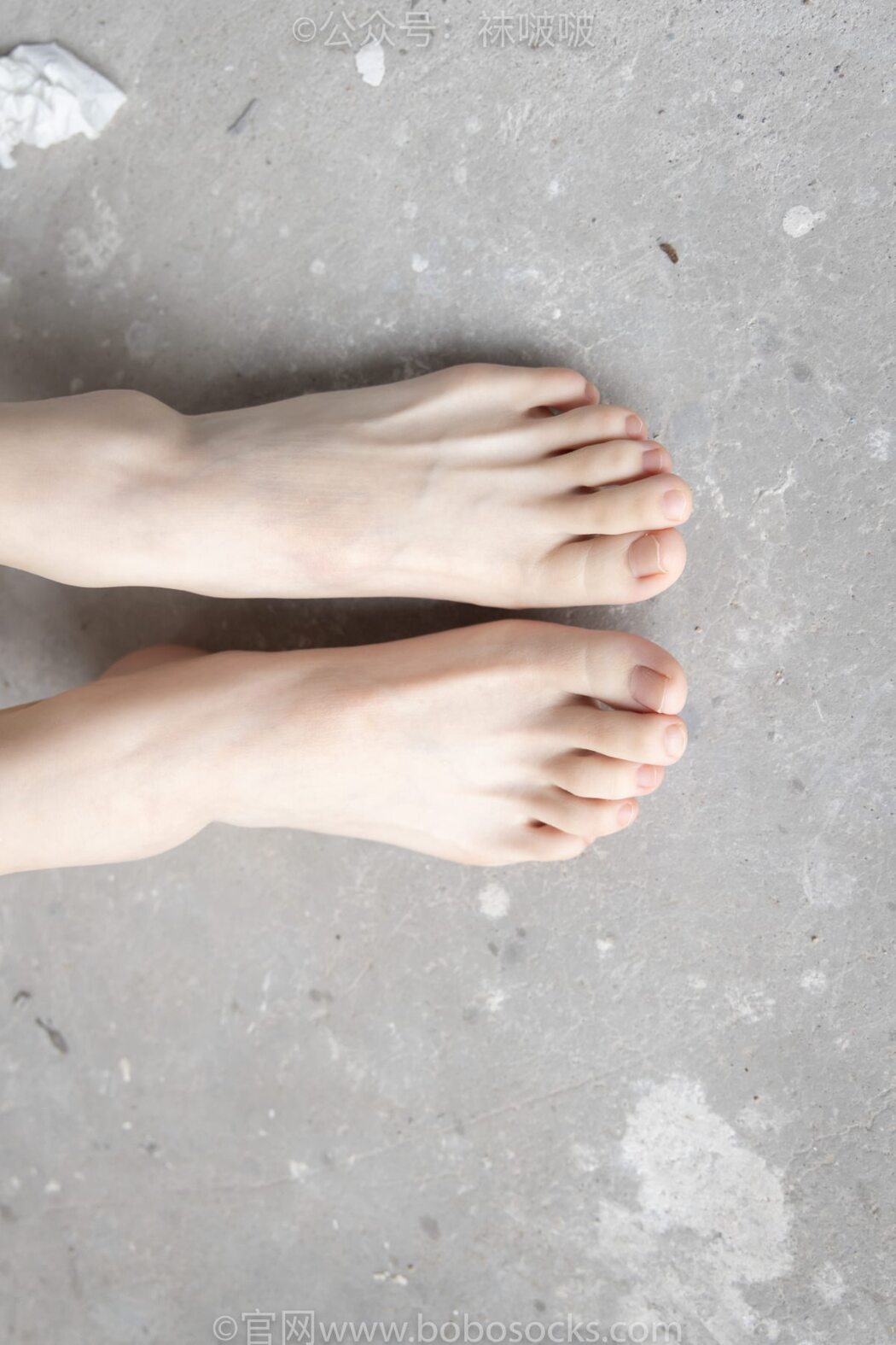 BoBoSocks袜啵啵 NO.025 Xiong Xiong