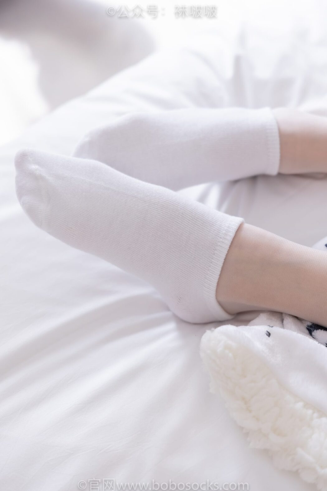 BoBoSocks袜啵啵 NO.037 Zhi Yu