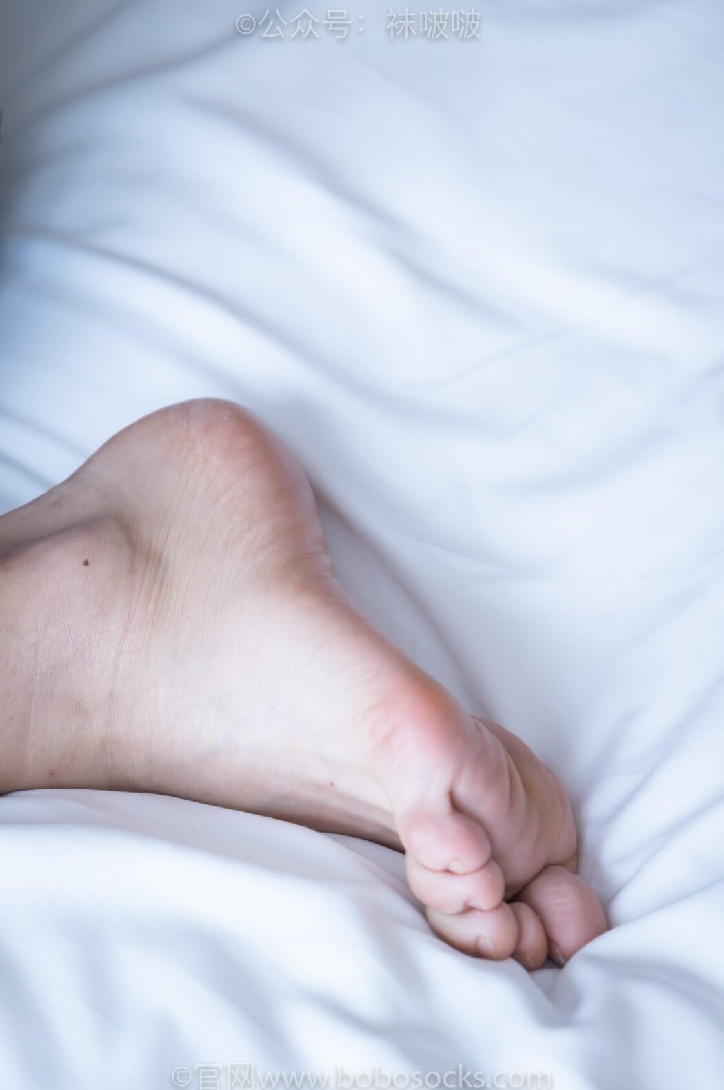 BoBoSocks袜啵啵 NO.024 Han Han
