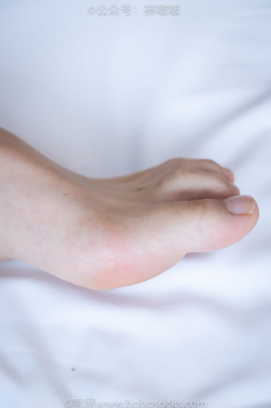 BoBoSocks袜啵啵 NO.024 Han Han