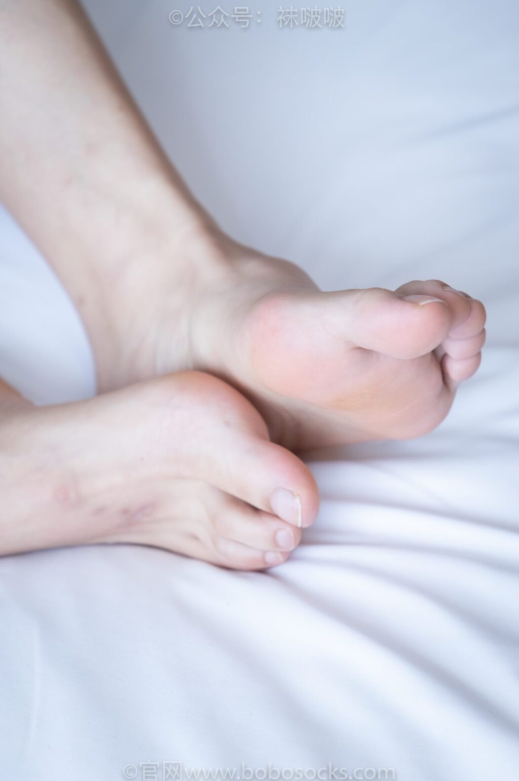 BoBoSocks袜啵啵 NO.024 Han Han