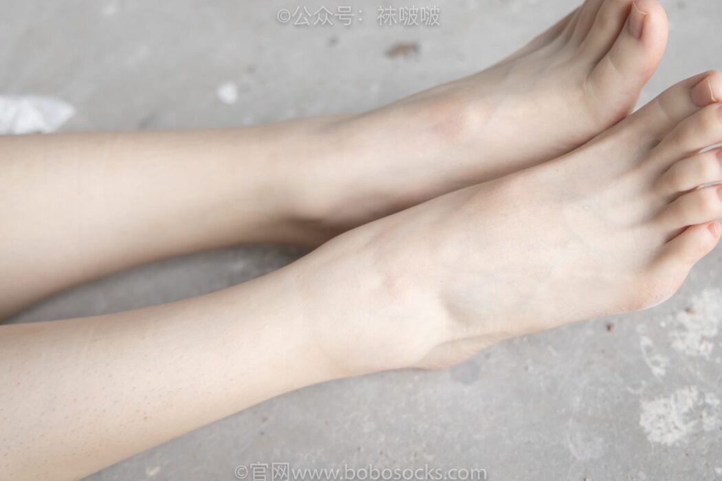 BoBoSocks袜啵啵 NO.025 Xiong Xiong