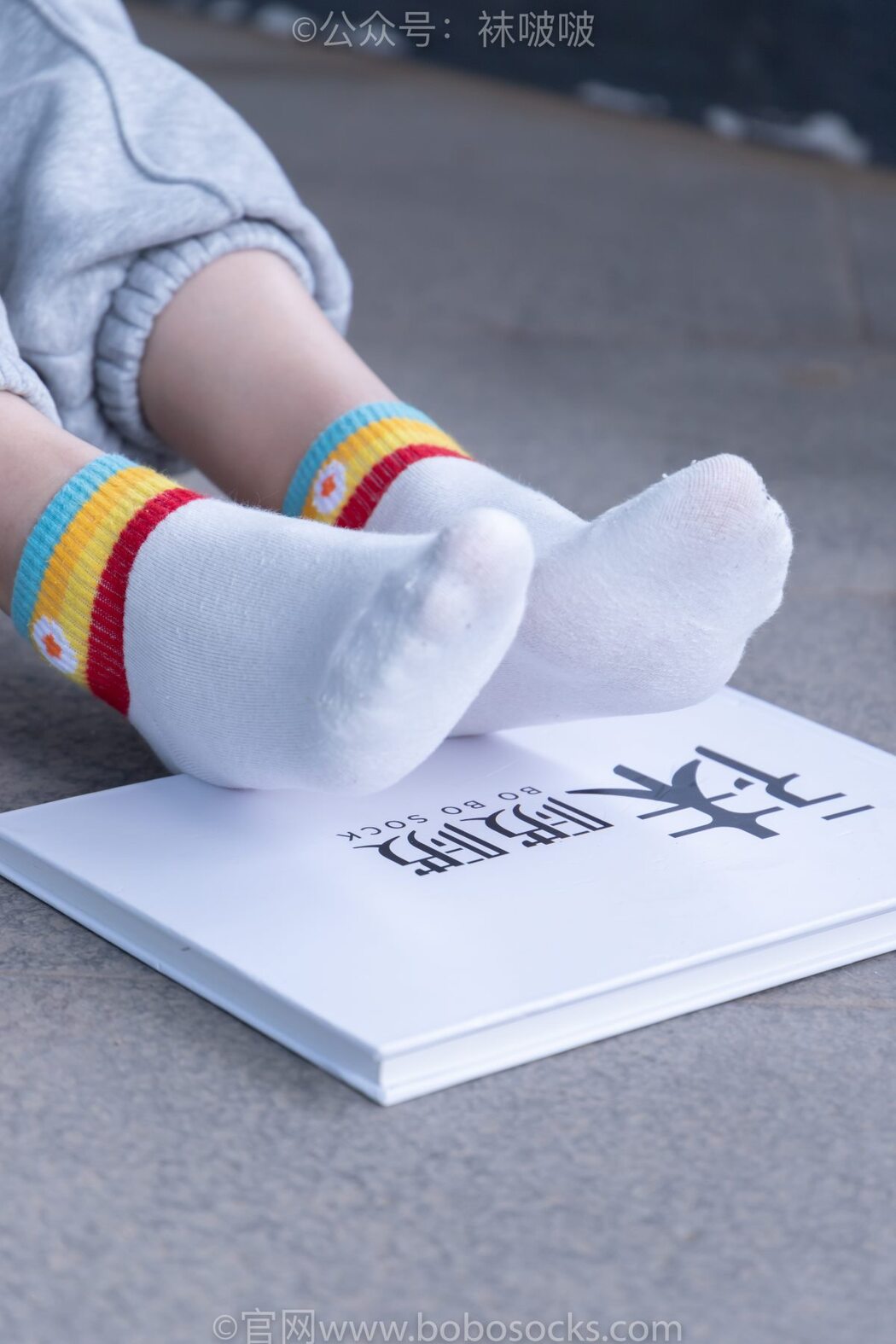 BoBoSocks袜啵啵 NO.012 Pao Fu